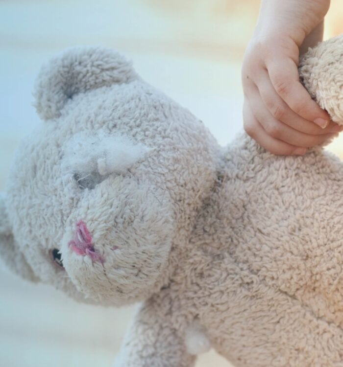 Hand hält einen abgenutzten, hellgrauen Teddybären mit fehlender Füllung an der Nase
