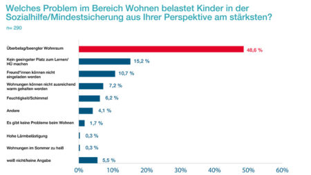 Diagramm zu Wohnproblemen von Kindern in Sozialhilfe- oder Mindestsicherungs-Haushalten. Am häufigsten nennen die befragten Fachkräfte beengte Wohnverhältnisse, gefolgt von fehlenden Lernplätzen und eingeschränkten Möglichkeiten für soziale Kontakte.
